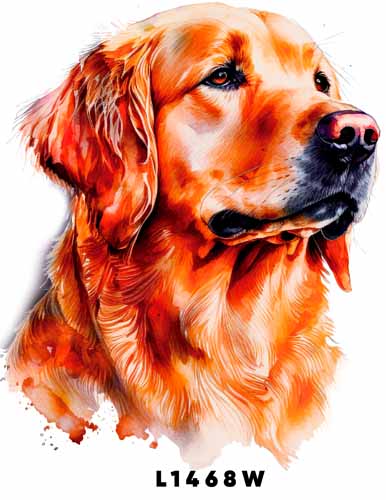 L1468 GOLDEN RETRIEVER