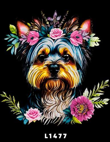 L1477 YORKIE TERRIER