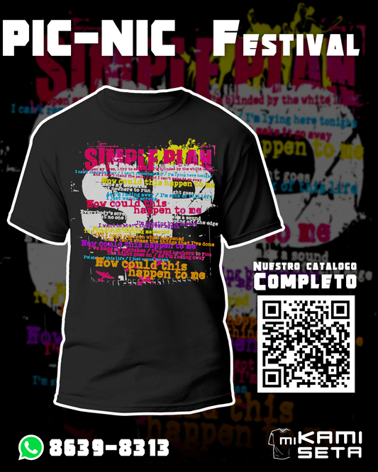 PIC-NIC SIMPLE PLAN 2