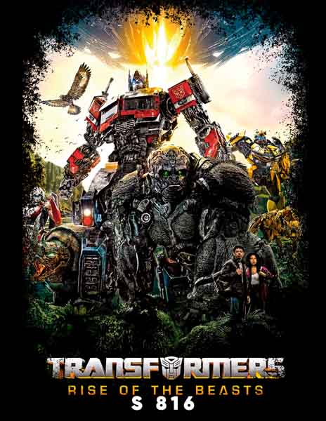 S0816 TRANSFORMERS