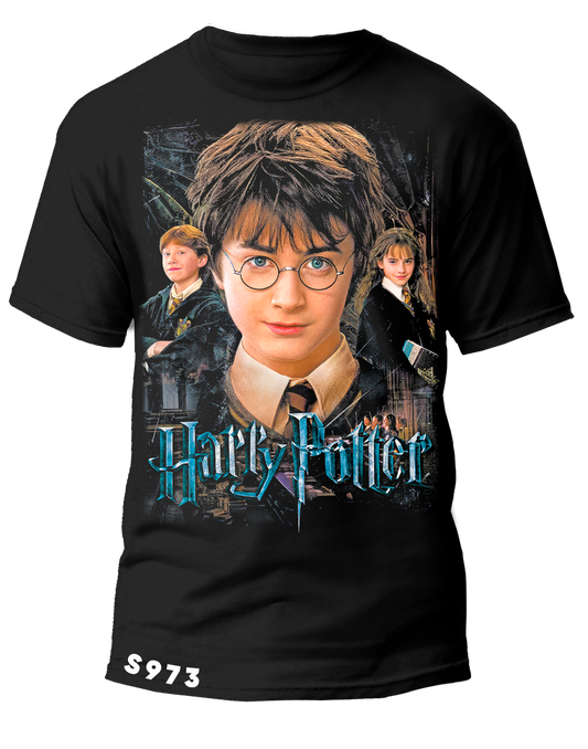 S0973 HARRY POTTER