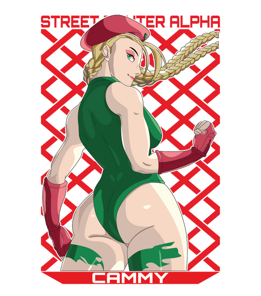 UVV378 STREET FIGHTER