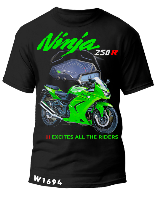 W1694 NINJA 250 R