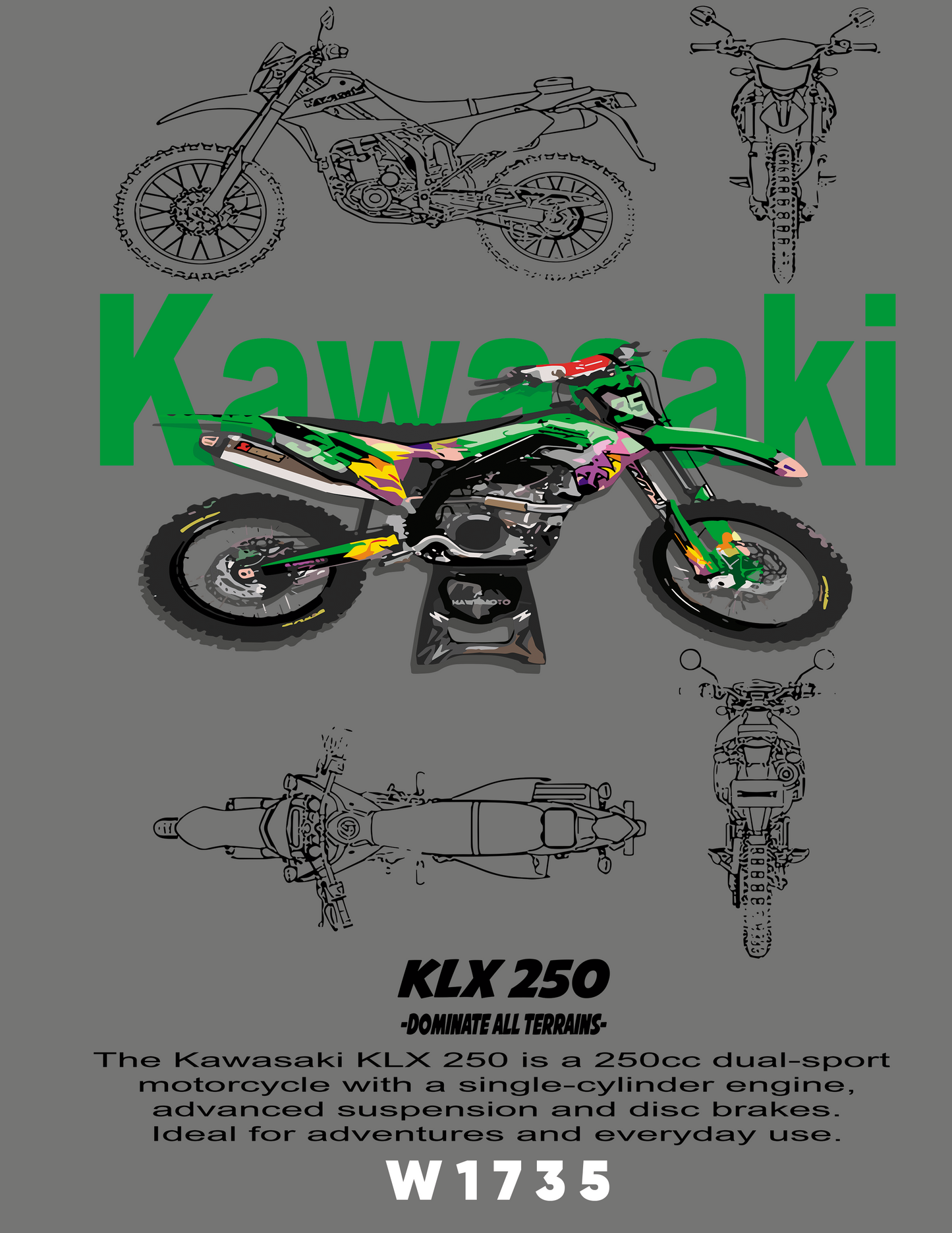 W1735 KAWASAKI KLX 250
