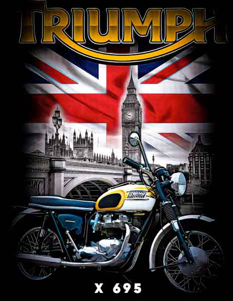 X0695 TRIUMPH