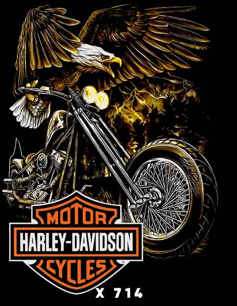 X0714 HARLEY DAVIDSON
