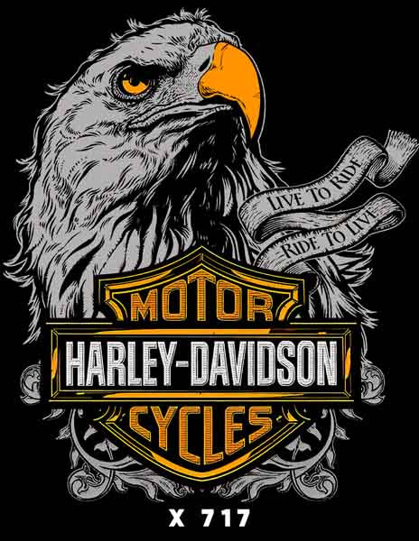 X0717 HARLEY DAVIDSON