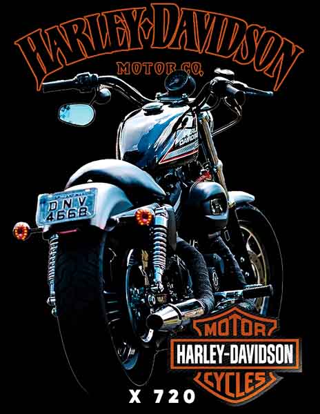 X0720 HARLEY DAVINSON