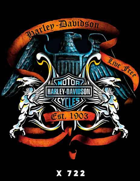 X0722 HARLEY DAVINSON