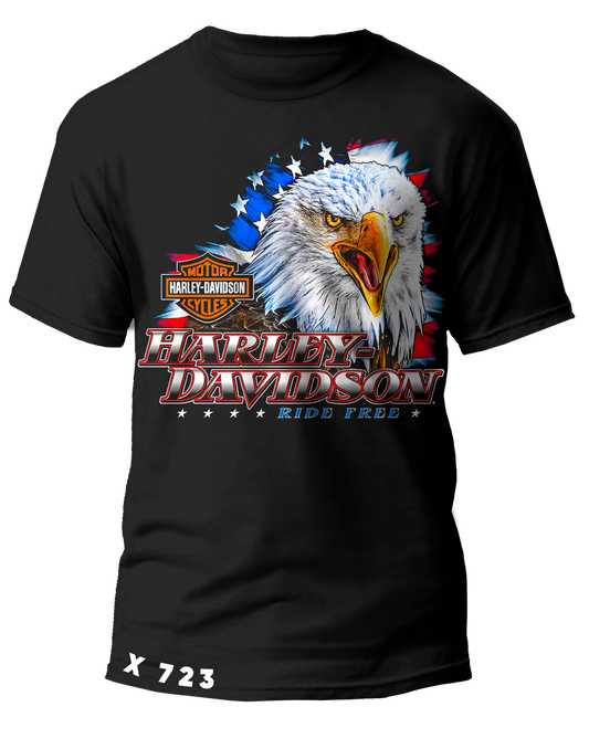X0723 HARLEY DAVIDSON