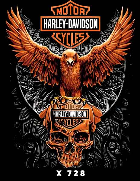 X0728 HARLEY DAVIDSON