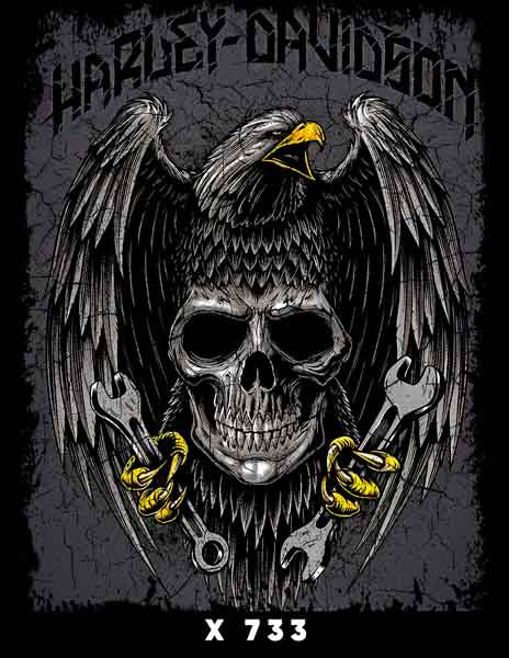 X0733 HARLEY DAVIDSON
