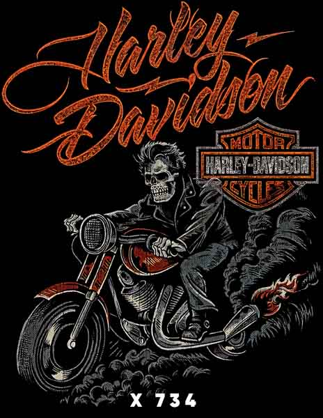 X0734 HARLEY DAVIDSON