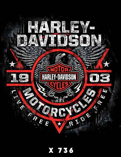 X0736 HARLEY DAVIDSON