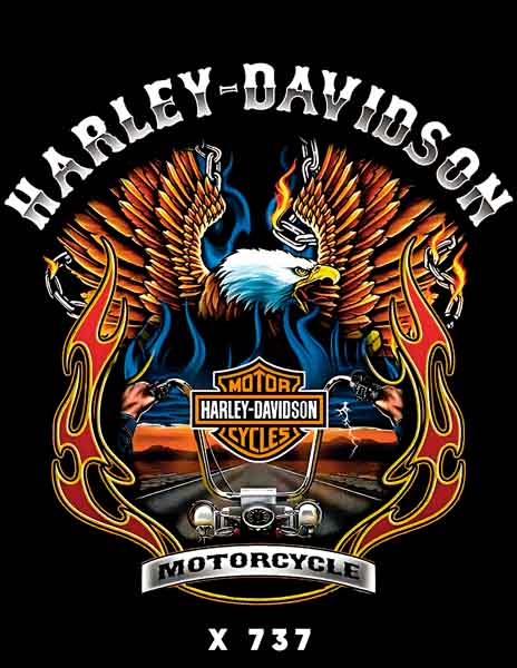 X0737 HARLEY DAVIDSON