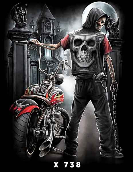 X0738 MOTOR CALAVERA