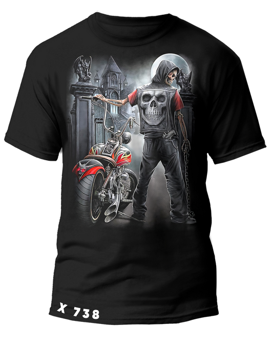 X0738 MOTOR CALAVERA