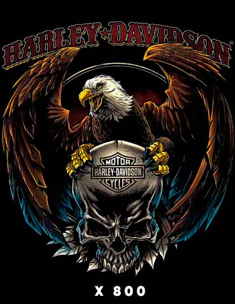 X0800 HARLEY DAVIDSON